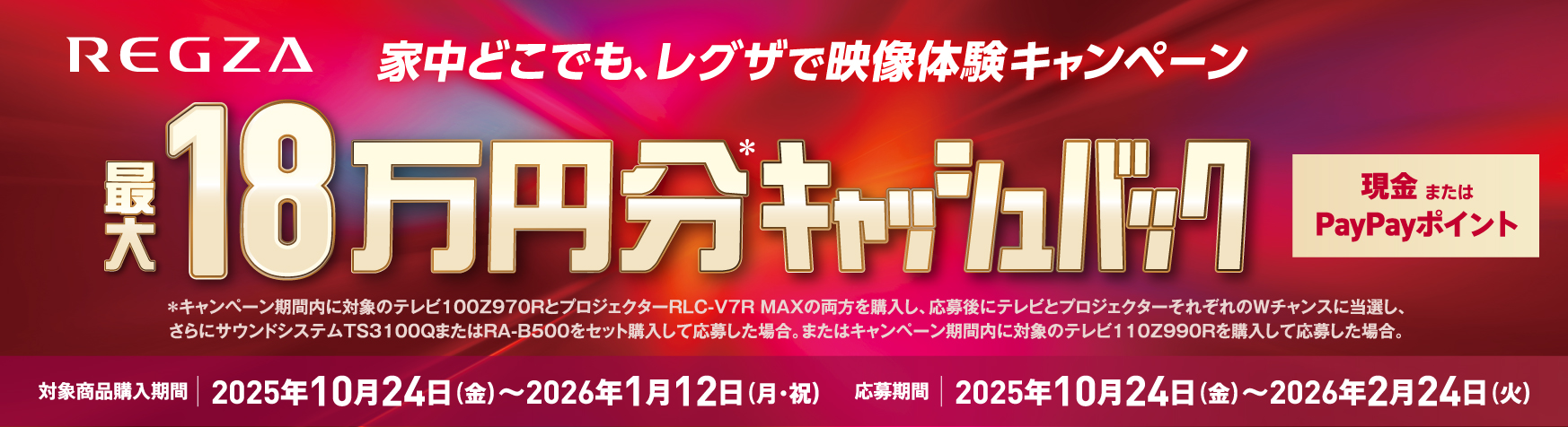 https://www.denkichi.co.jp/wp/wp-content/uploads/2025/10/25REGZA_Win-cp_DENKICHI_1746_476.jpg
